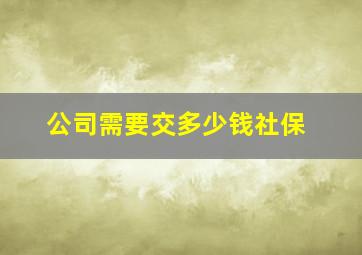 公司需要交多少钱社保