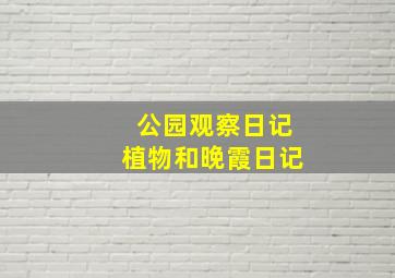 公园观察日记植物和晚霞日记