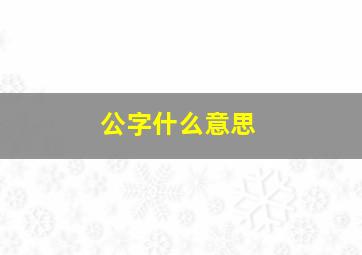 公字什么意思