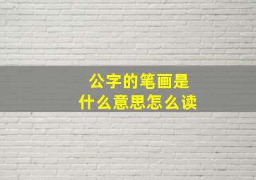 公字的笔画是什么意思怎么读