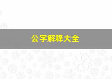 公字解释大全