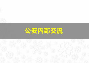 公安内部交流