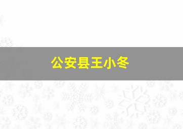 公安县王小冬