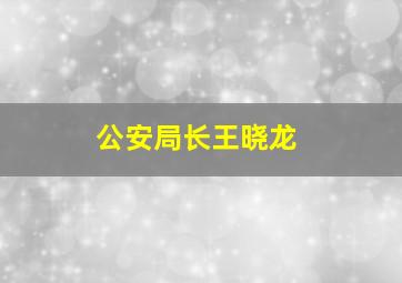 公安局长王晓龙