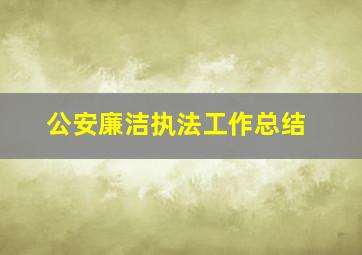 公安廉洁执法工作总结