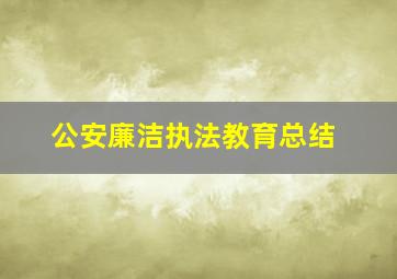 公安廉洁执法教育总结