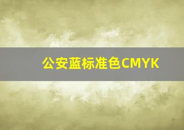 公安蓝标准色CMYK