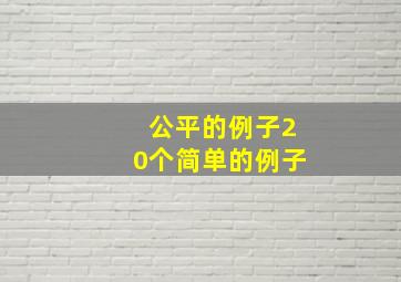 公平的例子20个简单的例子