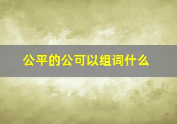 公平的公可以组词什么