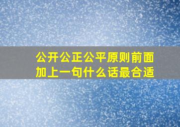 公开公正公平原则前面加上一句什么话最合适