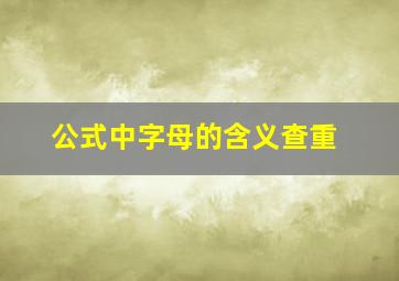 公式中字母的含义查重