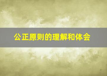 公正原则的理解和体会