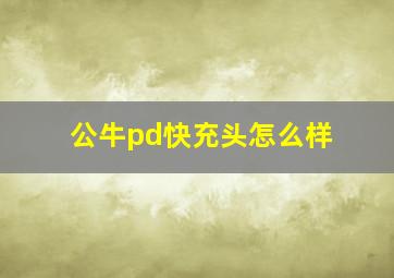 公牛pd快充头怎么样