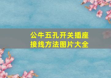 公牛五孔开关插座接线方法图片大全