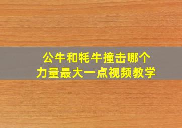 公牛和牦牛撞击哪个力量最大一点视频教学