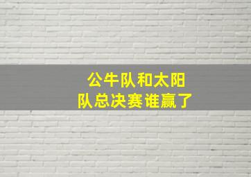 公牛队和太阳队总决赛谁赢了