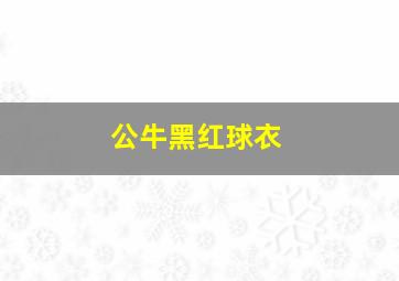 公牛黑红球衣