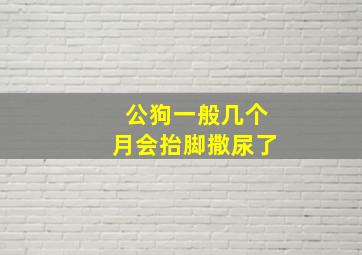 公狗一般几个月会抬脚撒尿了