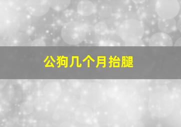 公狗几个月抬腿