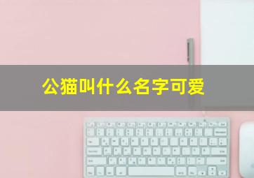 公猫叫什么名字可爱