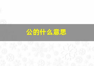 公的什么意思