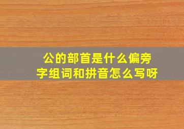 公的部首是什么偏旁字组词和拼音怎么写呀