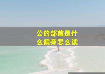 公的部首是什么偏旁怎么读