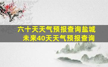 六十天天气预报查询盐城未来40天天气预报查询