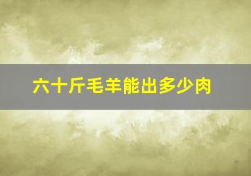 六十斤毛羊能出多少肉