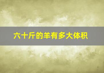 六十斤的羊有多大体积