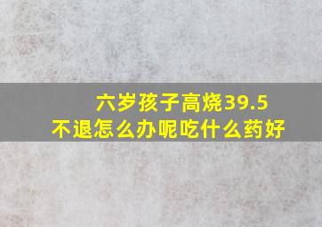 六岁孩子高烧39.5不退怎么办呢吃什么药好