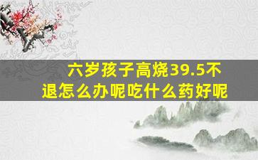 六岁孩子高烧39.5不退怎么办呢吃什么药好呢