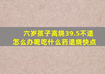 六岁孩子高烧39.5不退怎么办呢吃什么药退烧快点