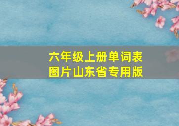 六年级上册单词表图片山东省专用版