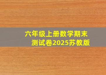 六年级上册数学期末测试卷2025苏教版