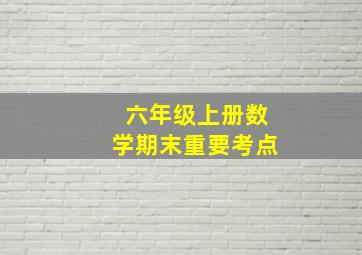 六年级上册数学期末重要考点