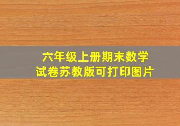 六年级上册期末数学试卷苏教版可打印图片