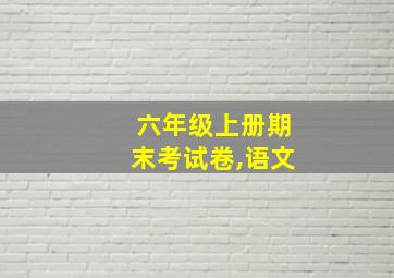 六年级上册期末考试卷,语文