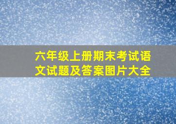 六年级上册期末考试语文试题及答案图片大全