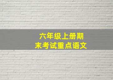 六年级上册期末考试重点语文