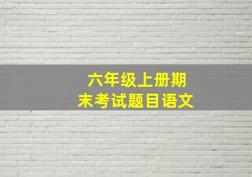 六年级上册期末考试题目语文