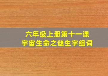 六年级上册第十一课宇宙生命之谜生字组词