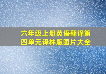 六年级上册英语翻译第四单元译林版图片大全