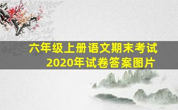 六年级上册语文期末考试2020年试卷答案图片