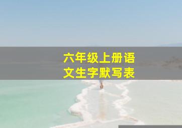 六年级上册语文生字默写表