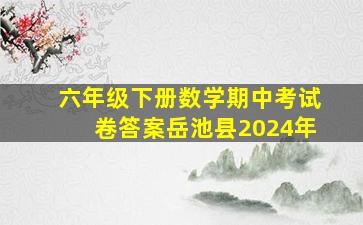 六年级下册数学期中考试卷答案岳池县2024年