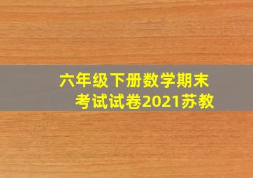 六年级下册数学期末考试试卷2021苏教