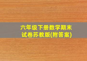 六年级下册数学期末试卷苏教版(附答案)