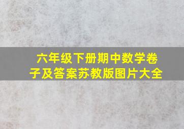 六年级下册期中数学卷子及答案苏教版图片大全