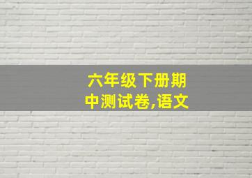 六年级下册期中测试卷,语文